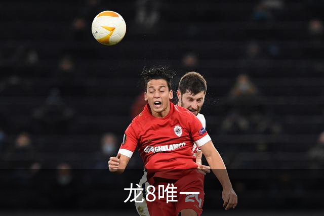 龙8唯一